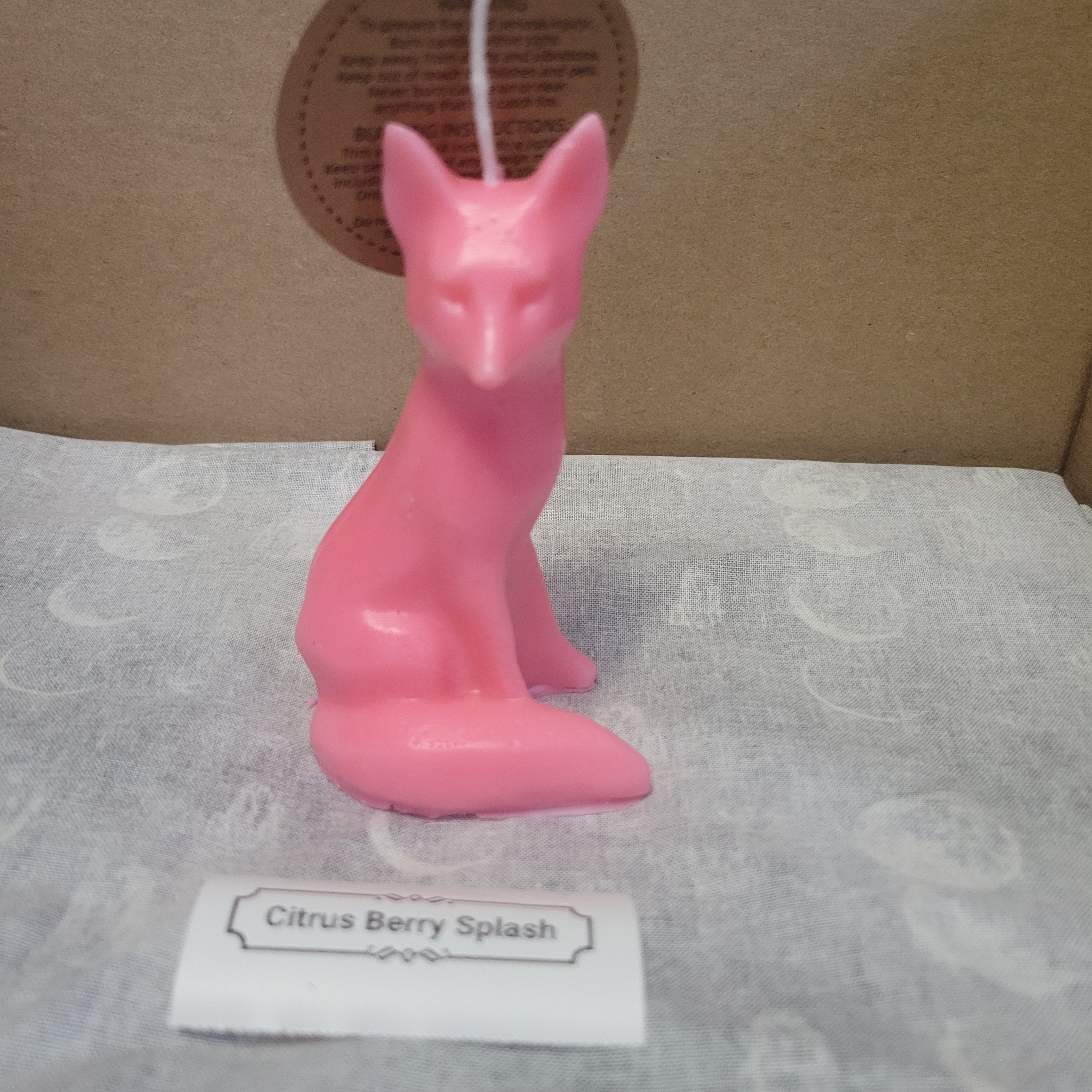 Sitting Fox